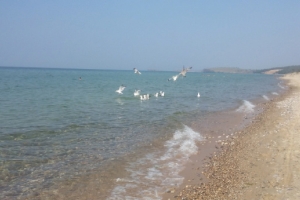 Visuel mer