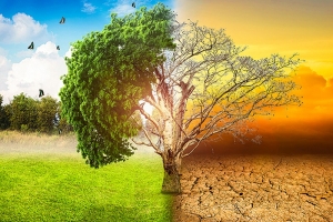 fresque climat