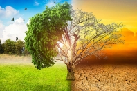 fresque climat